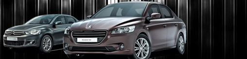   Peugeot & Citroen<br>  Valeo V46 !